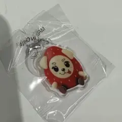 2026年最新】岩ちゃん ロッキーの人気アイテム - メルカリ