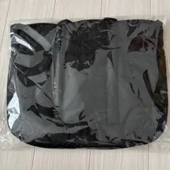 Item thumbnail for item 42cb3dab-4098-439e-b565-043a788de158