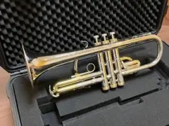 Item thumbnail for item 5eb180a9-6c7c-4c90-b9ee-3781ae3a5589