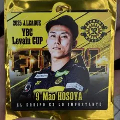 YBCルヴァンカップ シークレット 細谷真大