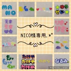 NICO様専用.*゜