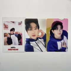 Item thumbnail for item d3dcf566-9b00-4eea-9183-e336f404c24b