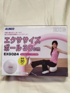 【ALINCO】 エクササイズボール 30cm EXG024（エアーポンプ付）のサムネイル