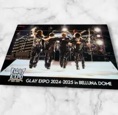 2026年最新】GLAY EXPO 2014 TOHOKU 20th Anniversary DVD~Special Box