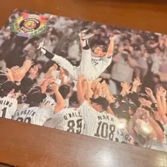 【非売品】2003 阪神タイガース 優勝記念 下敷き 星野監督胴上げ資生堂コラボ