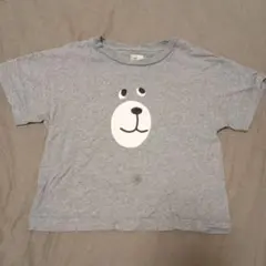 コーエン キッズ  120size Tシャツ コーエンベアー