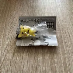 ポケットモンスター つまんでつなげてマスコット14 ピチュー ガチャ