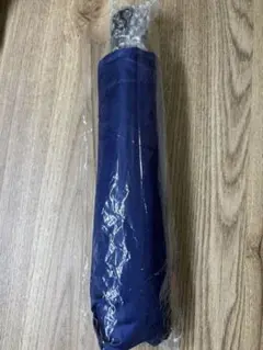万博　マレーシア　傘　非売品