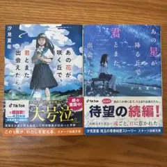 あの花が咲く丘で、君とまた出会えたら。あの星が降る丘で、君とまた出会いたい。