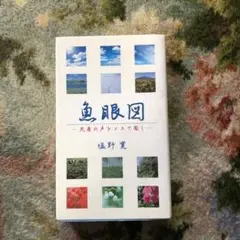 魚眼図