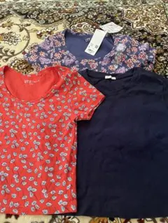 Item thumbnail for item 2418cee8-3bd3-4984-9d2f-18fa49860481