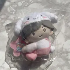 道枝駿佑 サンリオ シナモロール ぬいぐるみ