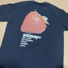 ど*K様 stüssy ストロベリーグラフィック Tシャツ
