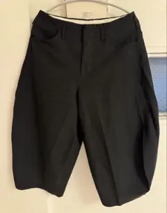 17aw コムデギャルソンオムプリュス plus 寅壱 エステル バルーン