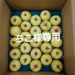 【ちこ様専用】