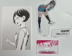 ハイキュー‼︎ 天内叶歌　10thクロニクル　スナップカード　アクリルスタンド