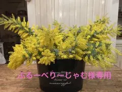 ぶるーべりーじゃむ様専用　フレッシュミモザ