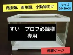 Item thumbnail for item 170e43f1-3d14-4ad2-8e5b-87f76a6e1d1f