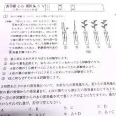 2025年最新】浜学園 小5 復習 2024の人気アイテム - メルカリ