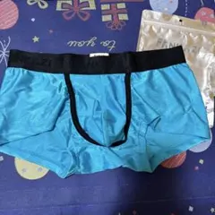 FANKAZI メンズ ボクサーパンツ ブルー Mサイズ ミルクシルク