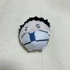 ハイキュー 赤葦京治 ふわコロりん ぬいぐるみ