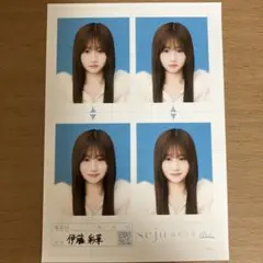 seju 証明写真 vol.2 伊藤彩華
