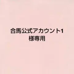 合馬公式アカウント1様専用　　ポムポムプリン