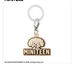 MINITEEN ガチャガチャ　めじるしアクセサリー　ドギョム