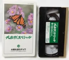 Item thumbnail for item 178d0430-2589-4c00-9ff0-74a730983216