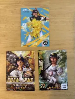 福岡ソフトバンクホークス 周東佑京 タカコレ3枚セット
