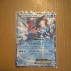 サトシゲッコウガEX PROMO XYシリーズプロモーションカード PROMO…