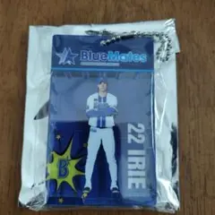 横浜DeNAベイスターズ アクリルキーホルダー 22 入江