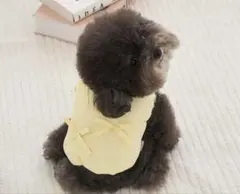 『新品未使用』small stuff 犬服　レインコート 新品未使用』small stuff 犬服 レインコート - メルカリ
