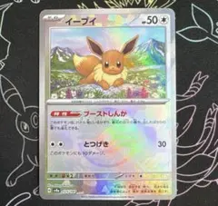 2025年最新】マスターボール イーブイの人気アイテム - メルカリ