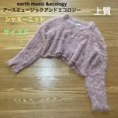 アースミュージック&エコロジー　上質ショート丈シャギーニット
