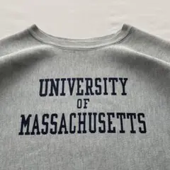 超美品 染み込みプリント 杢ブルー 80's チャンピオン リバースウィーブ