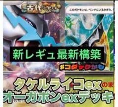 タケルライコ プレイマット 【海外正規品】 特価】タケルライコ ポケモン プレイマット チャンピオン 海外