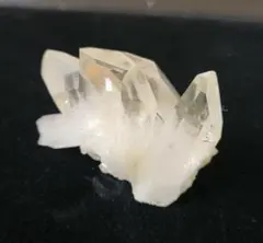 2026年最新】ゴールデンヒーラーの人気アイテム - メルカリ