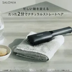ほぼ未使用 海外対応 SALONIA ストレートヒートブラシ ブラック スリム