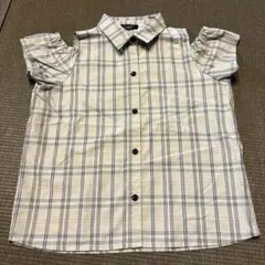 Item thumbnail for item 7d4cf1e4-8878-468b-99d3-a5dea47fad5f