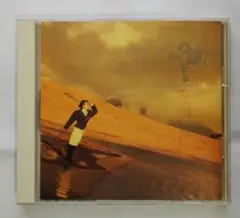 Item thumbnail for item 88d52736-d3bf-4036-bebf-22e79a9125f1