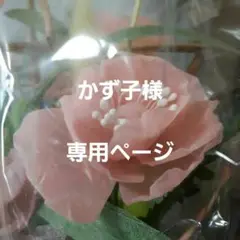 ♡　かず子様ご注文専用ページ　プレート他　♡