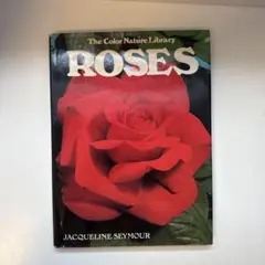 ROSES Jacqueline Seymour