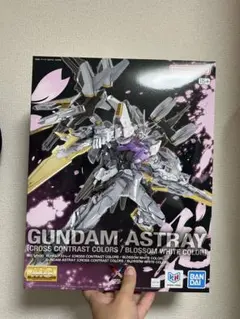 MG ガンダムアストレイ 海外限定クロスコントラストカラーズ 2点セット