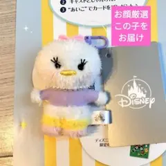 ディズニー デイジーダック ぬいぐるみキーチェーン　ディズニーストアのサムネイル