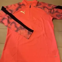 Item thumbnail for item 4ccade7b-60fc-4dc2-ab83-1aca9b3c20e8