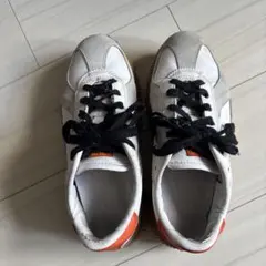 オニツカタイガー　DELECITY