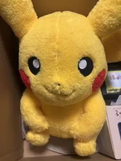 ポケモン　ピカチュウ ぬいぐるみ 中サイズ クラシックボア＋その他アイテム
