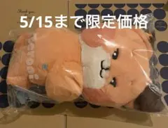 2026年最新】zeroni ぬいぐるみ テュニニの人気アイテム - メルカリ