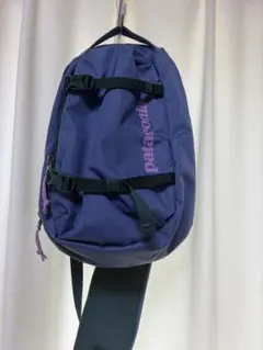 美品 パタゴニア アトムトート 20L JOY 50周年記念デザイン - メルカリ